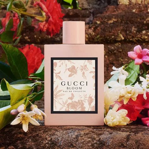 gucci bloom body wash|gucci bloom the perfume shop.